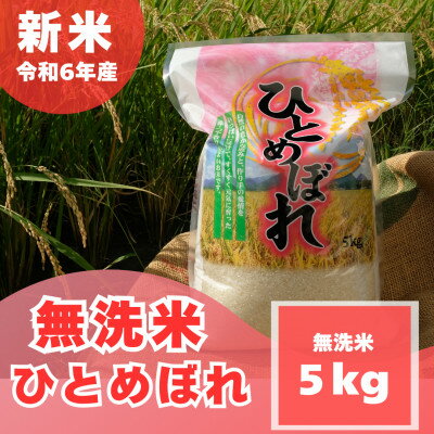 【無洗米】奈良県産ひとめぼれ5kg【1462025】