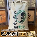 【ふるさと納税】お米 ヒノヒカリ (玄米) 10kg【1547528】