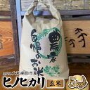 【ふるさと納税】お米 ヒノヒカリ (玄米) 5kg【1578025】