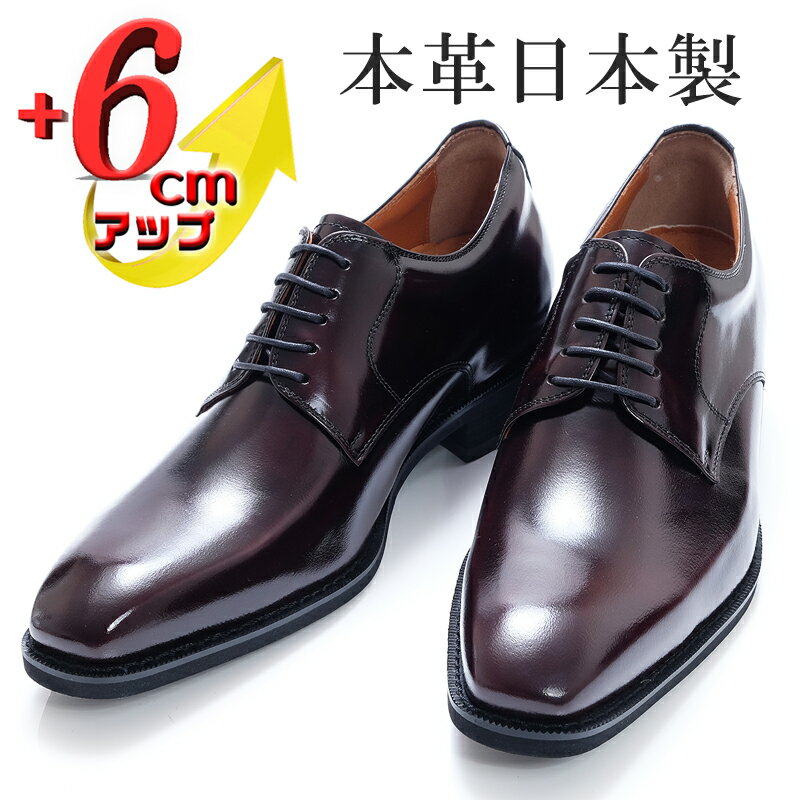 【ふるさと納税】ビジネスシューズ 本革 革靴 紳士靴 