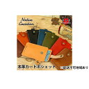 【ふるさと納税】Native Creation カードポシェット NC3728 全8色 栃木レザー【納期1～3カ月】　【雑貨・日用品・ファッション小物】