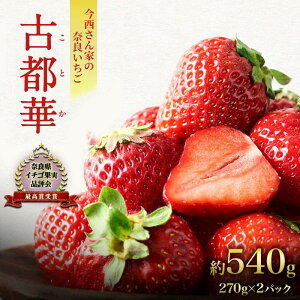 【ふるさと納税】【先行予約】今西さん家の奈良いちご いちご 古都華 約540g(270g× 2パック ) フルーツ 果物 旬 糖度 産地直送 農家直送 旬のフルーツ 旬の果物 お取り寄せ おやつ デザート 苺 冷蔵 奈良 大和郡山市 お届け:2026年1月3日~2026年4月上旬まで
