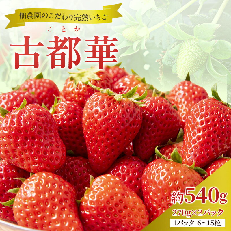 【ふるさと納税】【先行予約】いちご 完熟 古都華 約540g(270g× 2パック ) 佃農園のこだわり 高評価 フルーツ 果物 旬 産地直送 旬の果物 おやつ デザート ことか イチゴ 冷蔵 冷蔵配送 奈良県 大和郡山市 お届け:2026年1月上旬~2026年3月下旬
