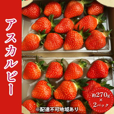 【ふるさと納税】しょうこおばあちゃんが作った【イチゴ】（アスカルビー）約270g×2パック 果物類 デザート フルーツ 詰合せ ブランド 甘み 酸味 バランス 果実 柔らかい ジューシー 愛情 　お届け：2023年1月10日～2023年3月31日のサムネイル