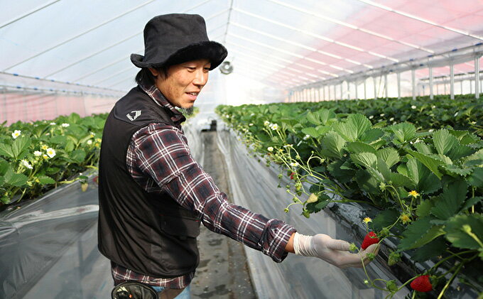 奈良県大和郡山市の画像3