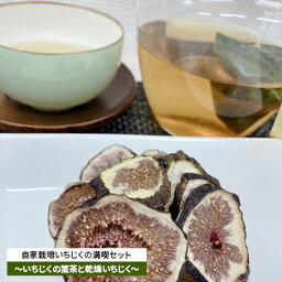 【ふるさと納税】自家栽培いちじくのドライフルーツ満喫セット～いちじくの葉茶と2種の乾燥いちじく～　【 加工食品 お茶 白いちじく 無花果葉 飲みやすい ティーバッグ おやつ 飲み物 おやつ 】