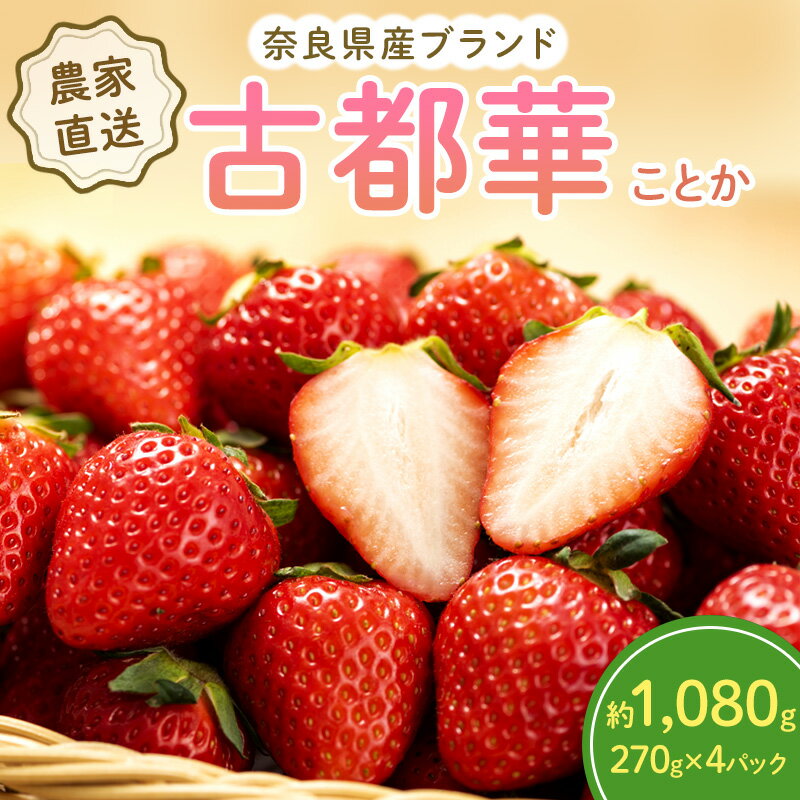 【ふるさと納税】いちご 奈良県産 古都華 約1,080g(270g× 4パック ) セット 高評価 フルーツ 果物 旬 産地直送 農家直送 完熟 旬のフルーツ 旬の果物 お取り寄せ おやつ デザート ことか イチゴ 苺 冷蔵 冷蔵配送 奈良 大和郡山市　お届け：2025年1月中旬～4月中旬のサムネイル