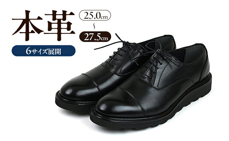 【ふるさと納税】1288 カジュアルシューズ ストレートチップ 3Eウィズ BLACK（ブラック）　メンズ ファッション 靴 シューズ 本革　25.0cm〜27.5cm