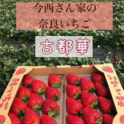 【ふるさと納税】今西さん家の奈良いちご古都華×2パック　【果