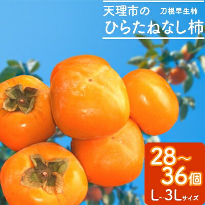 【ふるさと納税】【R4年10月以降発送】刀根早生柿発祥の地・天理市のひらたねなし柿(L〜3Lサイズ、28〜36個)【1070571】
