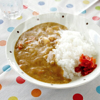 【ふるさと納税】天理カレー　あまくち10個セット【10707