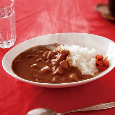 【ふるさと納税】天理カレー　あまくち5個&辛口5個セット【1