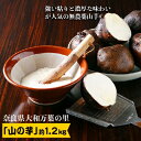 21位! 口コミ数「0件」評価「0」大和万葉の里「山の芋」　約1.2kg【1071903】