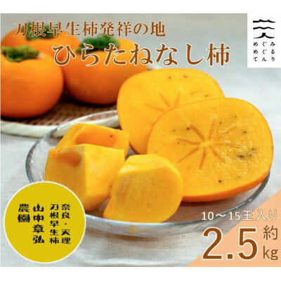 【R6年10月以降発送】刀根早生柿発祥の地・ひらたねなし柿約2.5kg(10～15玉入り)【配送不可地域：離島】【1085761】