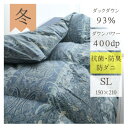 【ふるさと納税】抜群のあたたかさ 上質羽毛掛け布団ダウンパワー400(WDD93%1.2kg) シングル(青)【1128334】
