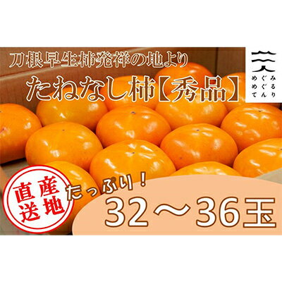 【ふるさと納税】【R6年10月以降発送】刀根早生柿発祥の地より「たねなし柿」L～2L(32～36玉)【秀品】...