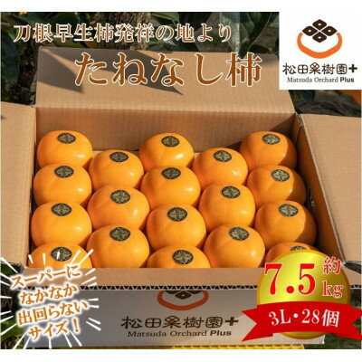 【ふるさと納税】【R6年10月中下旬より発送】刀根早生柿発祥の地よりスーパーになかなか出回らないサイズ種なし柿　3L【配送不可地域：離島】【1233078】のサムネイル