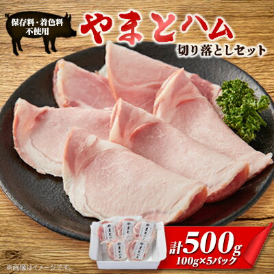 【ふるさと納税】ゴールド・シー食品やまとハム切り落としセット(100g×5パック)【配送不可地域：離島...