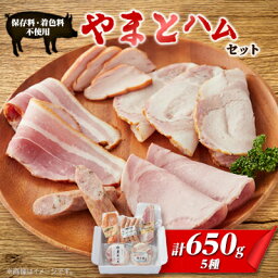 【ふるさと納税】ゴールド・シー食品　やまとハムセット(5種)【配送不可地域：離島】【1284853】