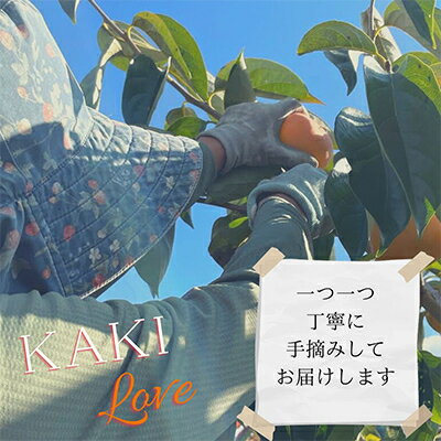 【ふるさと納税】【令和6年10月下旬から発送】たねなし柿L～2Lサイズ(16～18個入り)【配送不可地域：離島】【1410559】 2