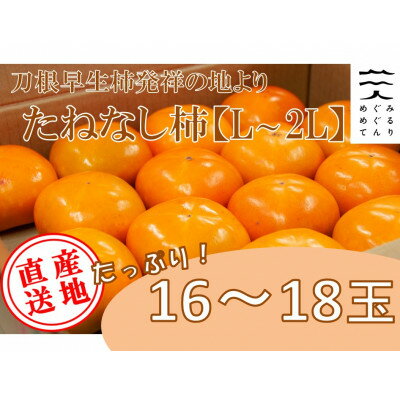 【ふるさと納税】【令和6年10月以降発送予定】刀根早生柿発祥の地※より「たねなし柿」L~2L(1段箱16～18玉)【配送不可地域：離島】【1434467】