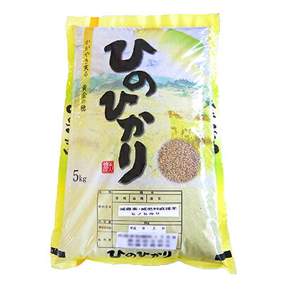 2023年1月発送開始『定期便』ひのひかり精米5kg【令和4年産】(一等米)全4回【5087169】