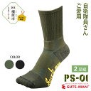 【ふるさと納税】GUTS-MAN パイルストロングソックス(PS-01)2足組 ガッツマン 靴下 くつ下 メンズ 紳士自衛隊ソックス パイルソックス登山 日本製...