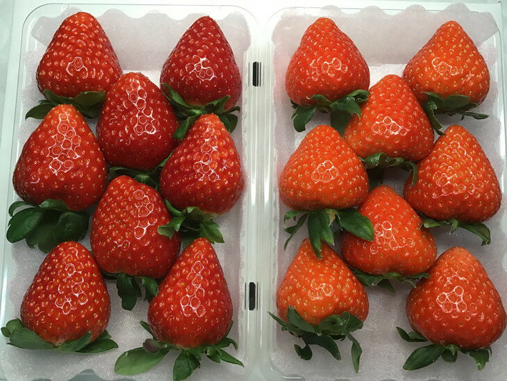 奈良県橿原市の画像2