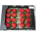 【ふるさと納税】奈良県 橿原市産のあまさが特徴のいちご「古都...