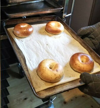 【ふるさと納税】奈良県産柿ベーグル10個セット 低カロリー ベーグル 無添加 食事パン 血糖値やコレステロール値が気になる方やアレルギーがある方にも是非! ≪今井町食事パン お取り寄せ≫※離島への配送不可(北海道、沖縄本島は配送可能) ※着日指定不可