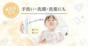 【ふるさと納税】無添加 泡の石けんボディソープセット ＜無添加生活シリーズ＞無香料、無着色、パラベンフリー ※着日指定不可