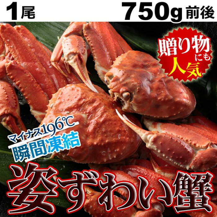 【ふるさと納税】特大ボイルズワイ蟹姿　750g ※着日指定不可