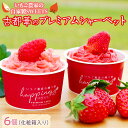 【ふるさと納税】いちご農家の自家製SWEETS 古都華のプレミアムシャーベット6個(化粧箱入り)◇