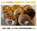 【ふるさと納税】【定期便】10種のベーグル10個 12ヶ月定期便 ≪低カロリー ベーグル 保存料無添加 食事パン 今井町食事パン お取り寄せ≫ ※離島への配送不...
