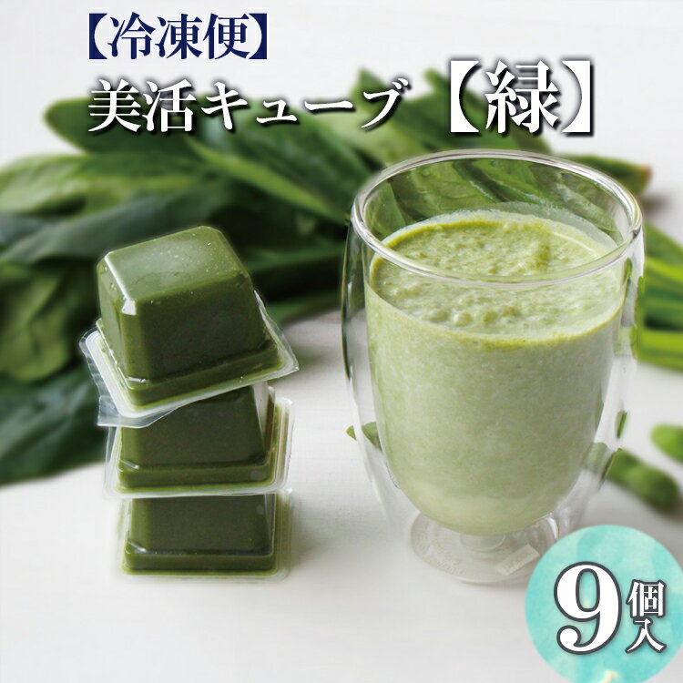 【ふるさと納税】【冷凍便】美活キューブ【緑】9個入 野菜 乳酸菌