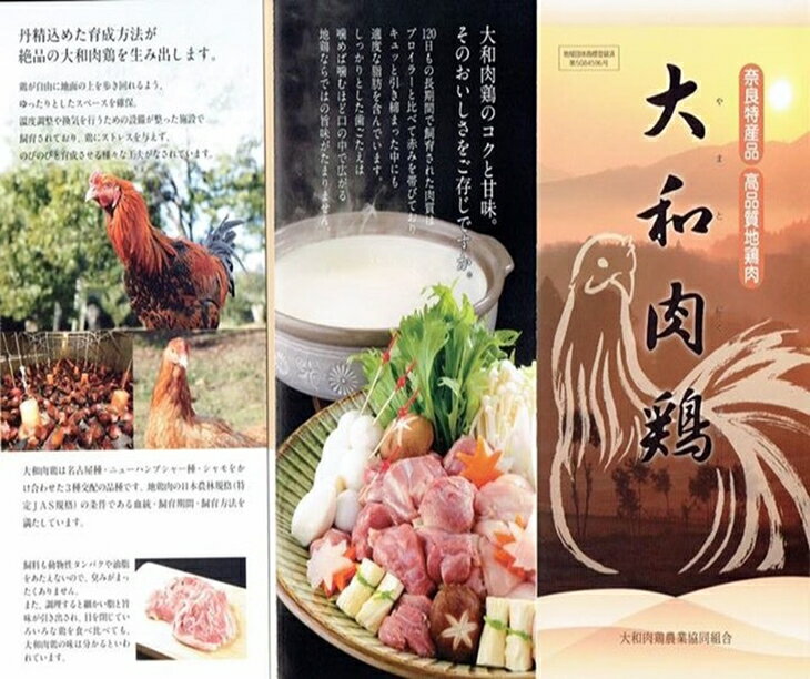 【ふるさと納税】大和肉鶏セット※着日指定不可