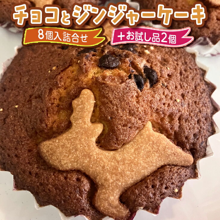 【ふるさと納税】チョコとジンジャーケーキ8個入詰合せ＋お試し品2個※着日指定不可