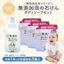 【ふるさと納税】無添加 泡の石けんボディソープセット <無添加生活シリーズ>|無香料 無着色 パラベンフリー 石鹸 せっけん