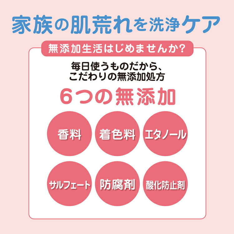 【ふるさと納税】肌荒れを防ぐ薬用無添加　泡ボディソープセットB　＜無添加生活シリーズ＞ ※離島への配送不可