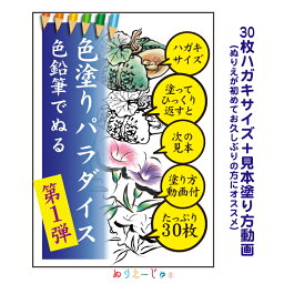 【ふるさと納税】「色塗りパラダイス」ハガキサイズ色鉛筆で初めての方も安心【30枚】見本が見やすく塗り方説明動画のオマケ付き。たっぷりの絵柄にドンドン挑戦できるのが特徴。※着日指定不可