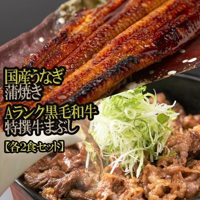 【ふるさと納税】国産うなぎ蒲焼き・A4ランク黒毛和牛特撰牛まぶし 各2食セット／国産 うなぎ 蒲焼き ...