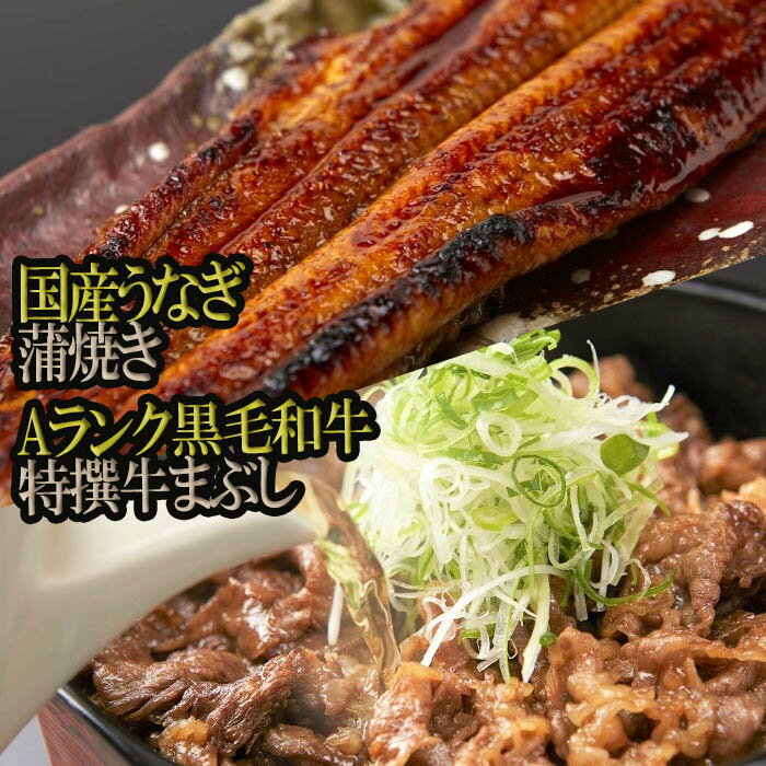 【ふるさと納税】国産うなぎ蒲焼き・A4ランク黒毛和牛特撰牛まぶしセット／国産 うなぎ 蒲焼き 牛肉 黒毛和牛 贅沢 贈り物 ギフト 人気