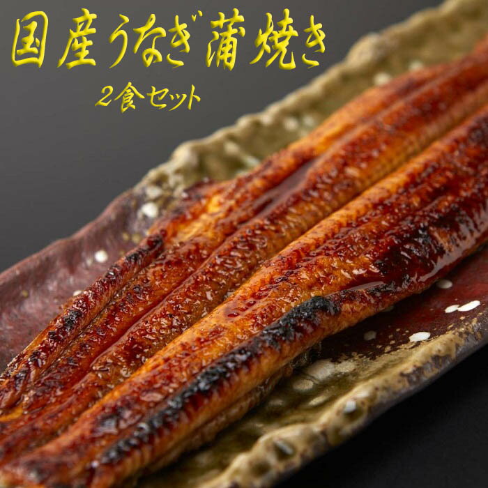 【ふるさと納税】国産うなぎ蒲焼き 2食セット／国産 うなぎ ウナギ 鰻 鰻好き 蒲焼き お茶漬け 贅沢 贈り物 ギフト 人気