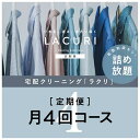 【ふるさと納税】クリーニング《詰め放題》月4回コース　1年分(48回利用)