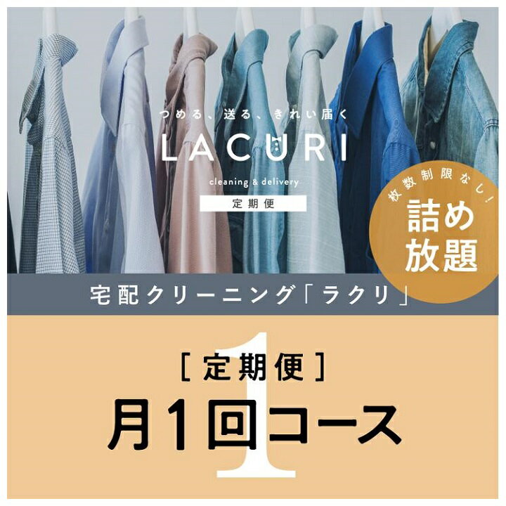 【ふるさと納税】クリーニング《詰め放題》月1回コース　1年分(12回利用)