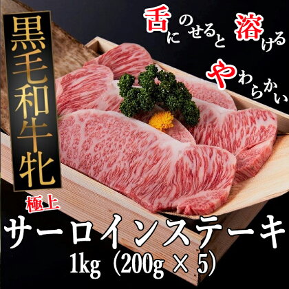 黒毛和牛牝 サーロインステーキ　1kg（200g×5）