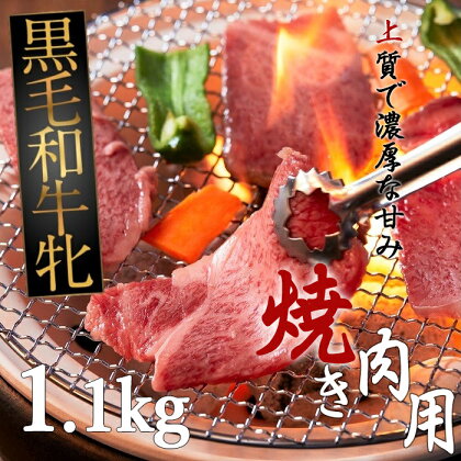 黒毛和牛牝 ロース　焼肉用（タレ付）1.1kg