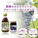 9位! 口コミ数「0件」評価「0」ぶどうジュース4本とジャム2瓶セット／ブドウ 葡萄ジュース ストレート 100% 無添加　ブルーベリージャム 川上農園