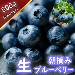 【ふるさと納税】＜先行予約販売＞ブルーベリー（生） ／アイスクリーム ジャム 無農薬 500g 100g 新鮮 朝採れ 手摘み 数量限定 期間限定