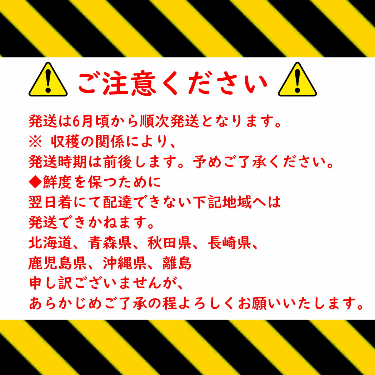 【ふるさと納税】＜2023年6月～発送予定＞品種おまかせ さくらんぼ 500g × 2 ／佐藤錦 高砂 紅秀峰 香夏錦 紅さやか レーニア 期間限定 数量限定 先行予約